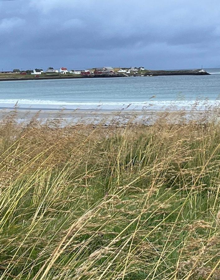 Ekkeroy Lodge - Arctic Living Vadsø Exteriör bild