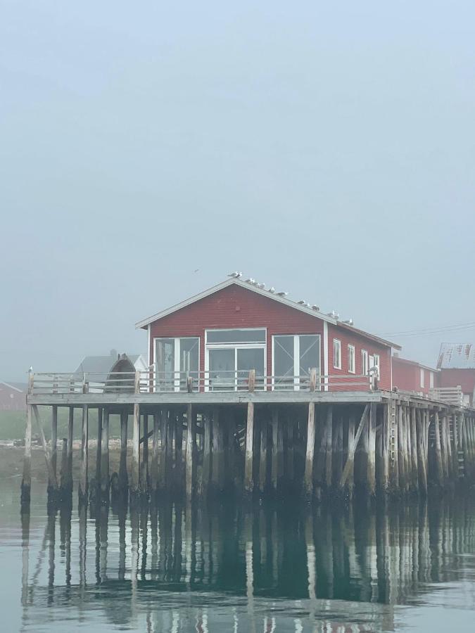 Ekkeroy Lodge - Arctic Living Vadsø Exteriör bild