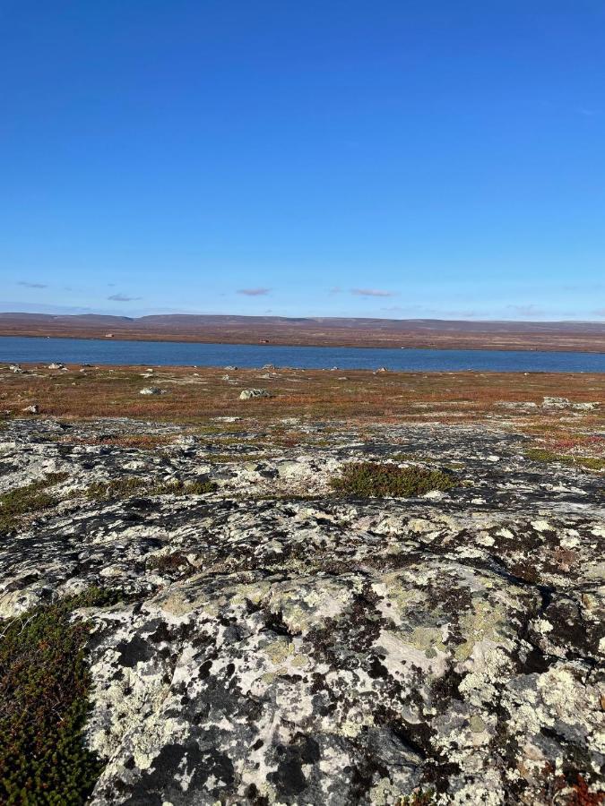 Ekkeroy Lodge - Arctic Living Vadsø Exteriör bild