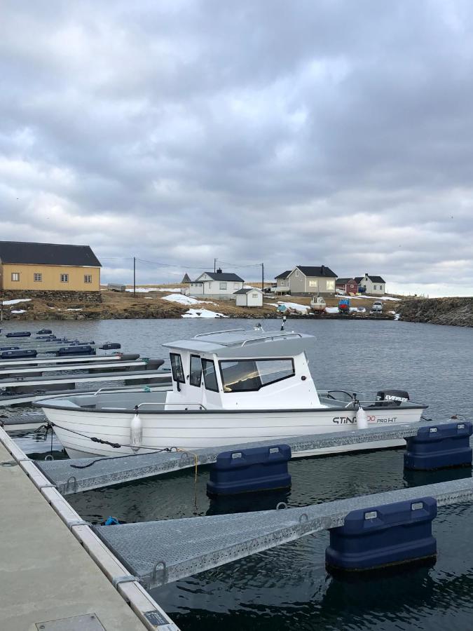 Ekkeroy Lodge - Arctic Living Vadsø Exteriör bild